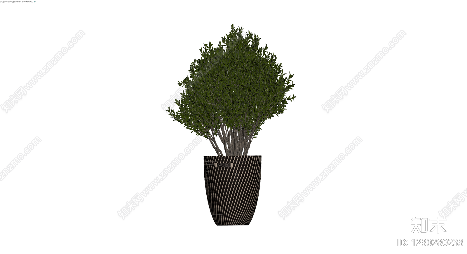 编织纹理盆栽植物3D模型下载【ID:1230280233】