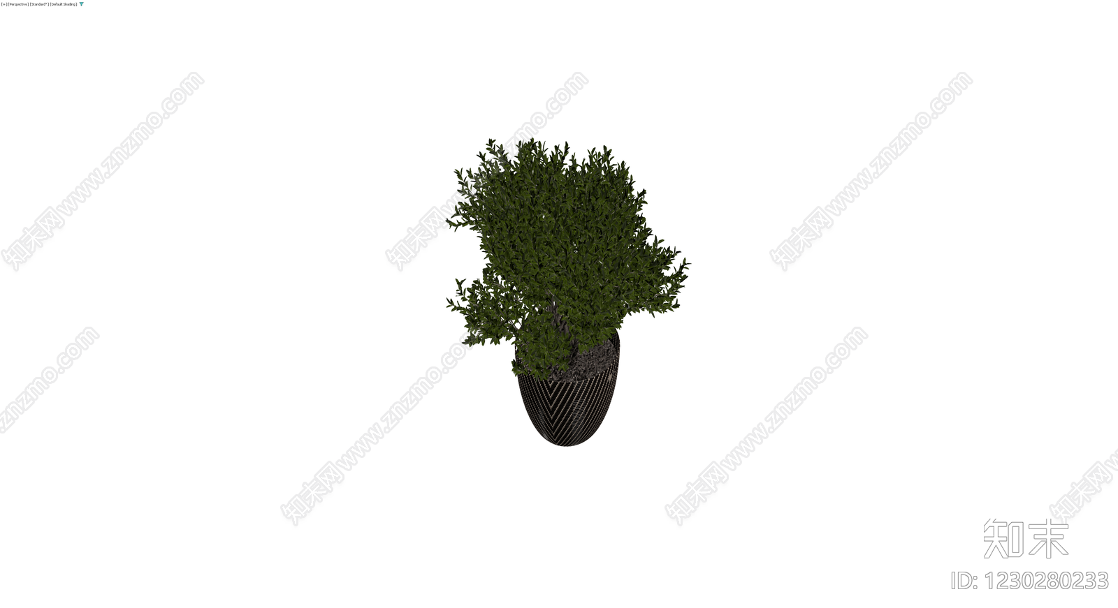编织纹理盆栽植物3D模型下载【ID:1230280233】