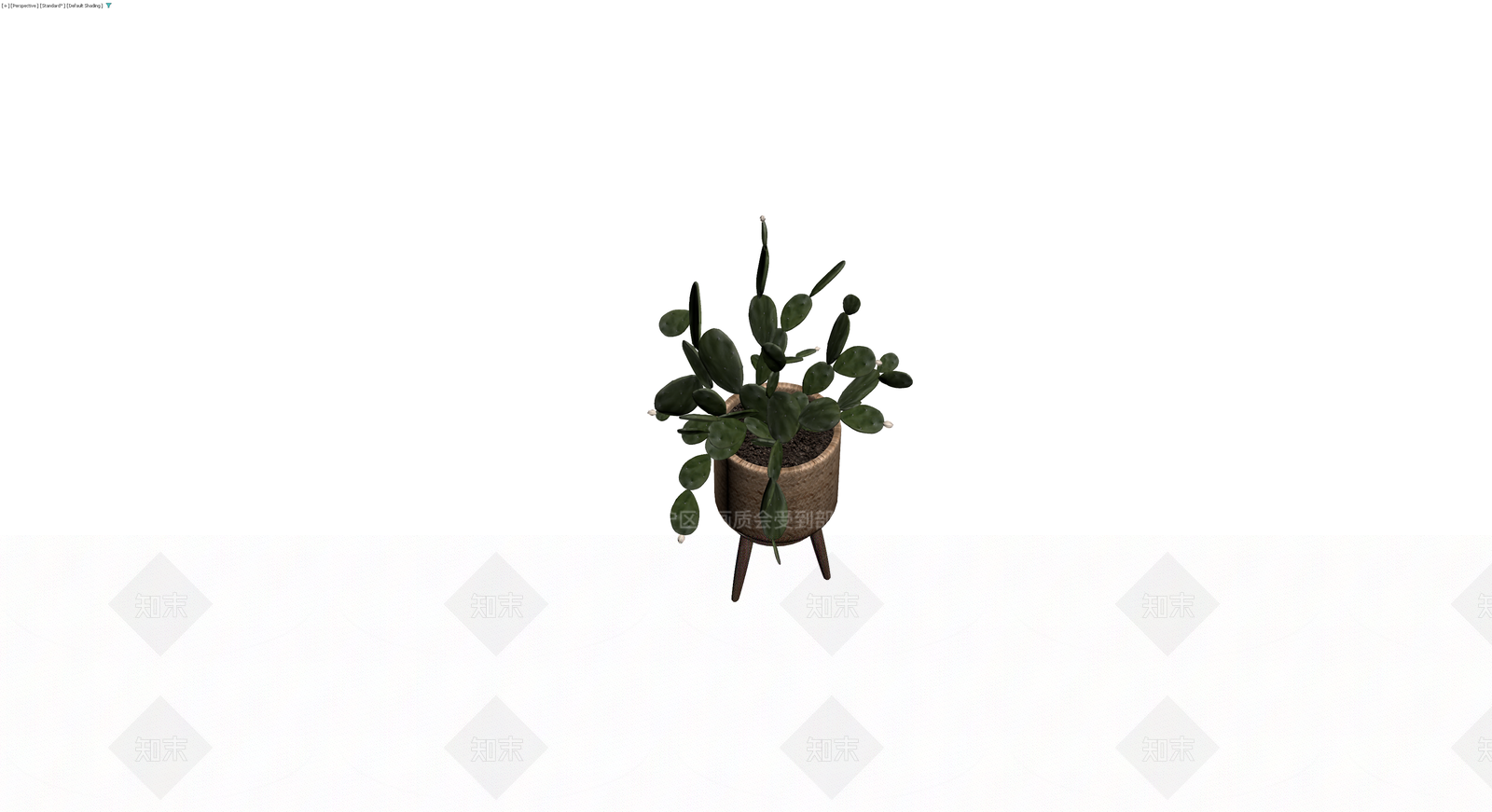 盆栽仙人掌带编织花盆3D模型下载【ID:1230396489】