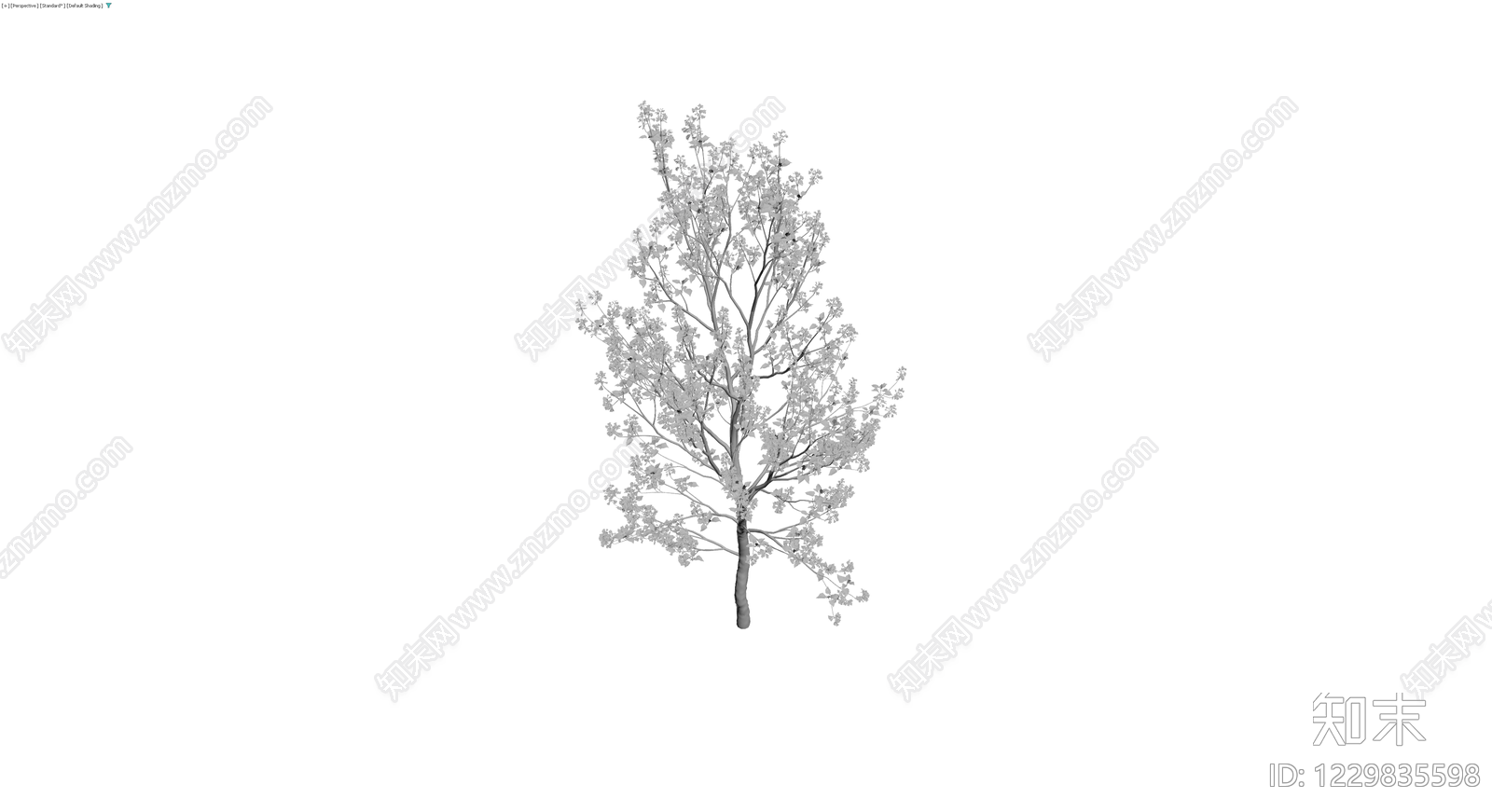 白模风格景观乔木3D模型下载【ID:1229835598】
