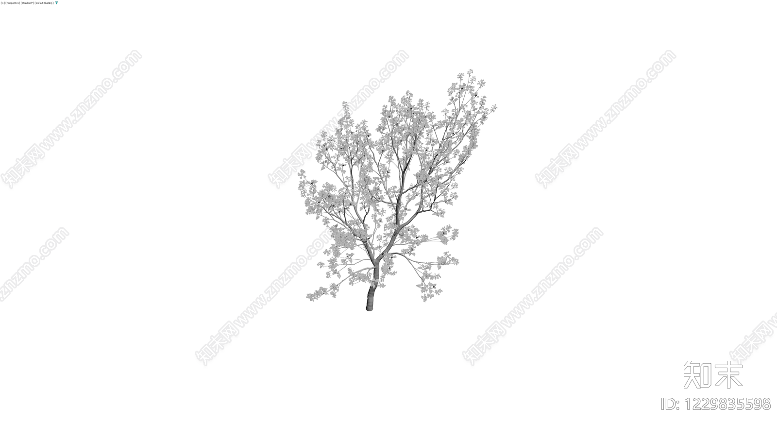 白模风格景观乔木3D模型下载【ID:1229835598】