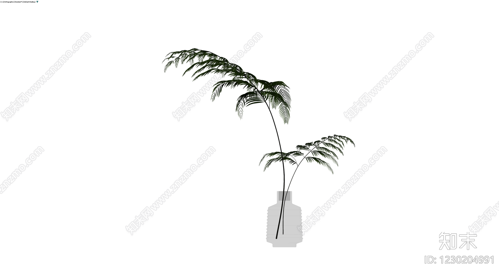 盆栽蕨类植物带盆3D模型下载【ID:1230204991】