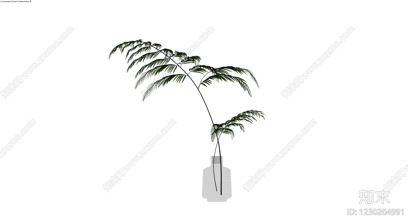 盆栽蕨类植物带盆3D模型下载【ID:1230204991】