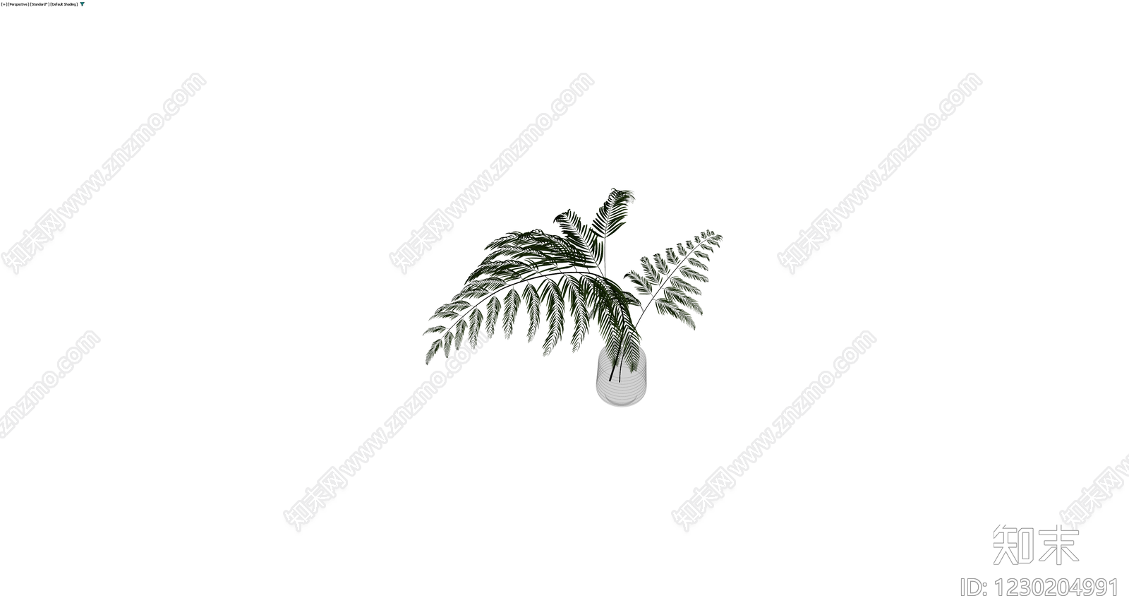 盆栽蕨类植物带盆3D模型下载【ID:1230204991】