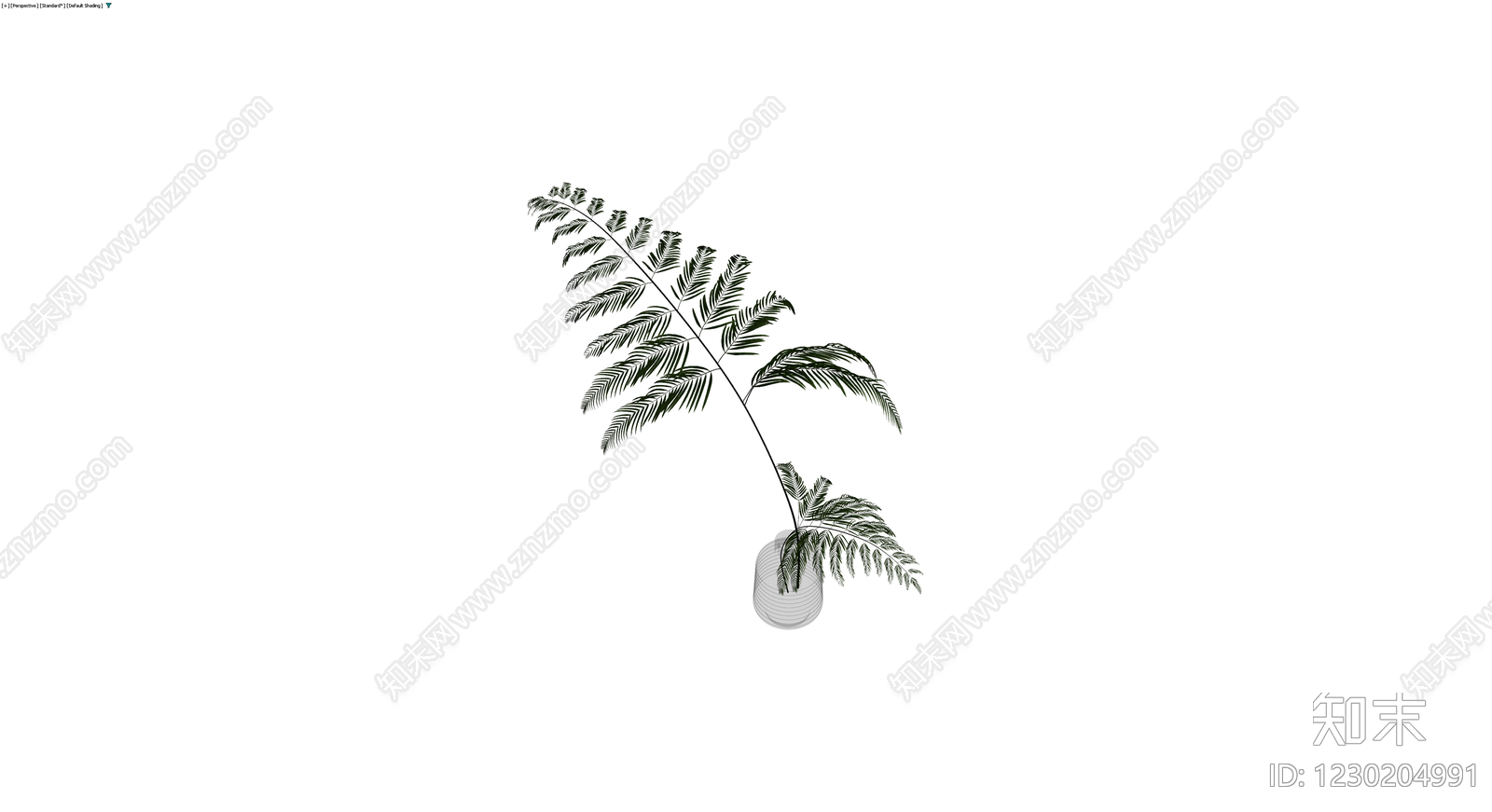 盆栽蕨类植物带盆3D模型下载【ID:1230204991】