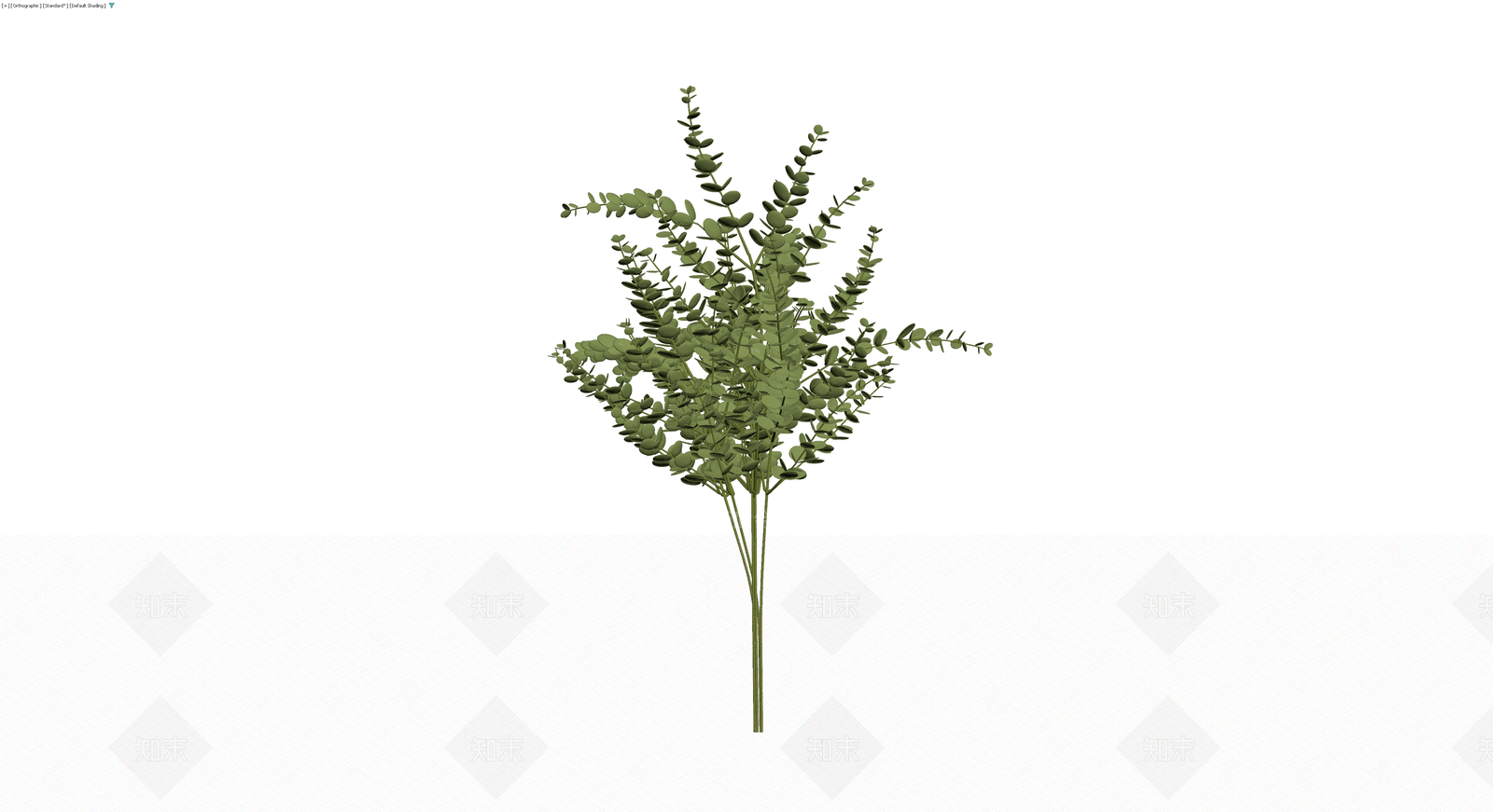 尤加利叶植物组合3D模型下载【ID:1229908446】