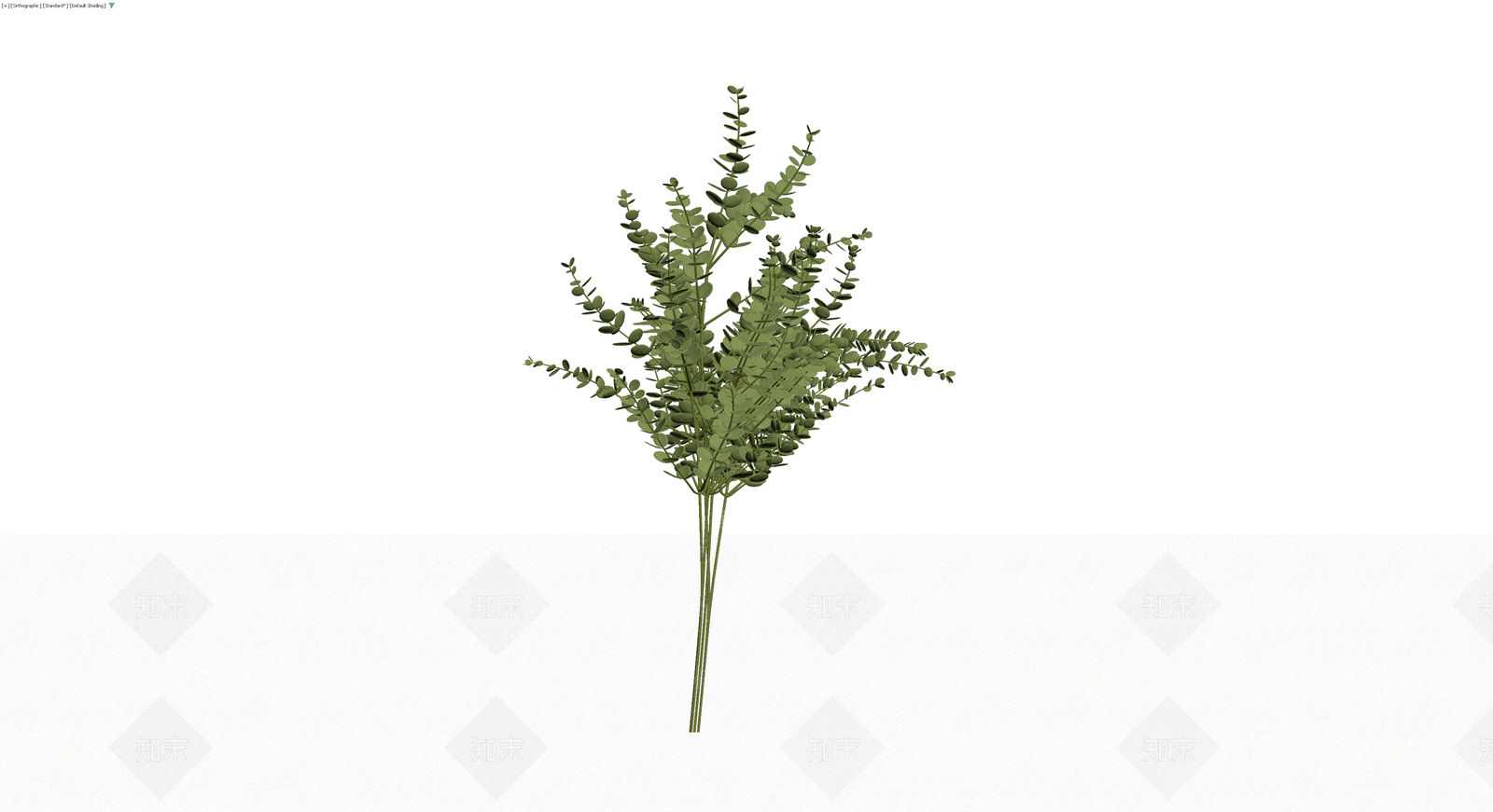 尤加利叶植物组合3D模型下载【ID:1229908446】