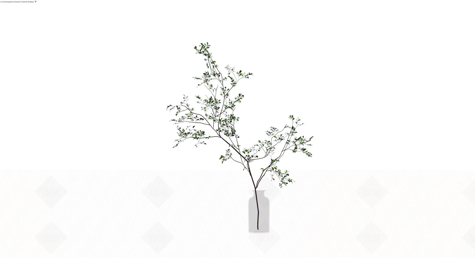 带瓶植物盆栽组合3D模型下载【ID:1230407812】