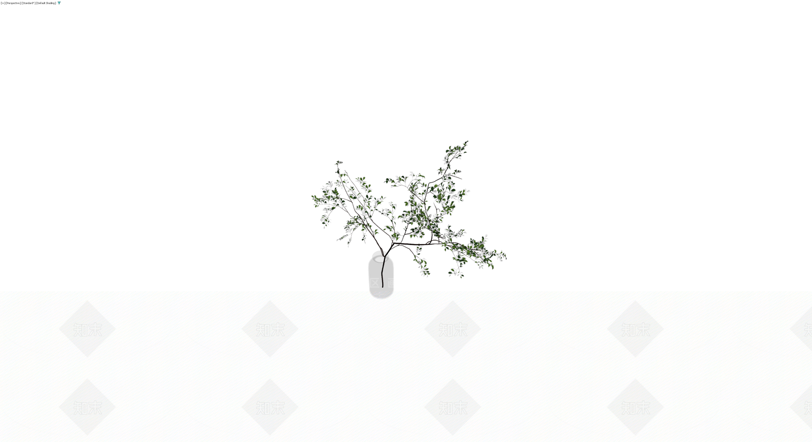 带瓶植物盆栽组合3D模型下载【ID:1230407812】
