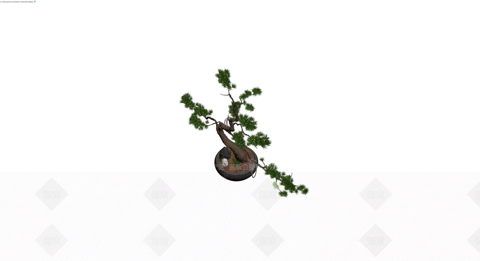 带盆松树盆景模型3D模型下载【ID:1230772553】