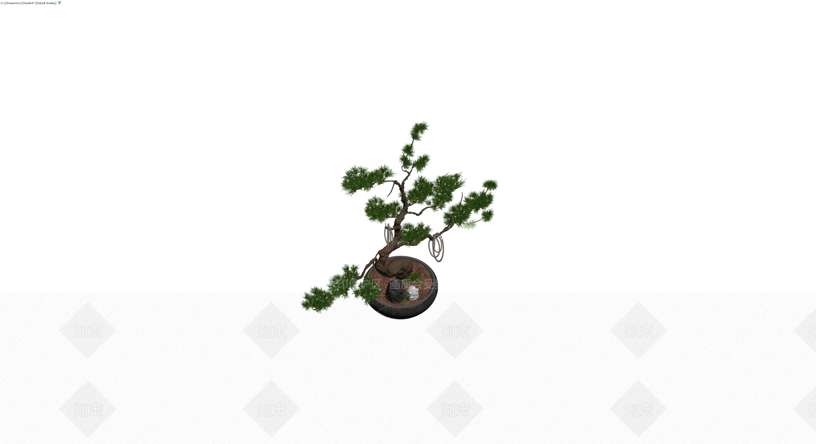 带盆松树盆景模型3D模型下载【ID:1230772553】