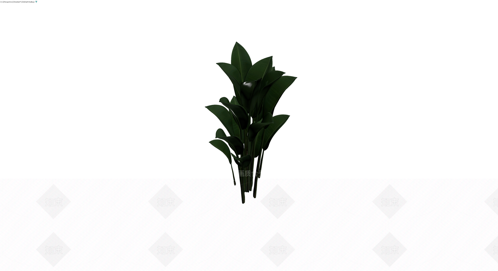 深色阔叶植物模型3D模型下载【ID:1230381211】
