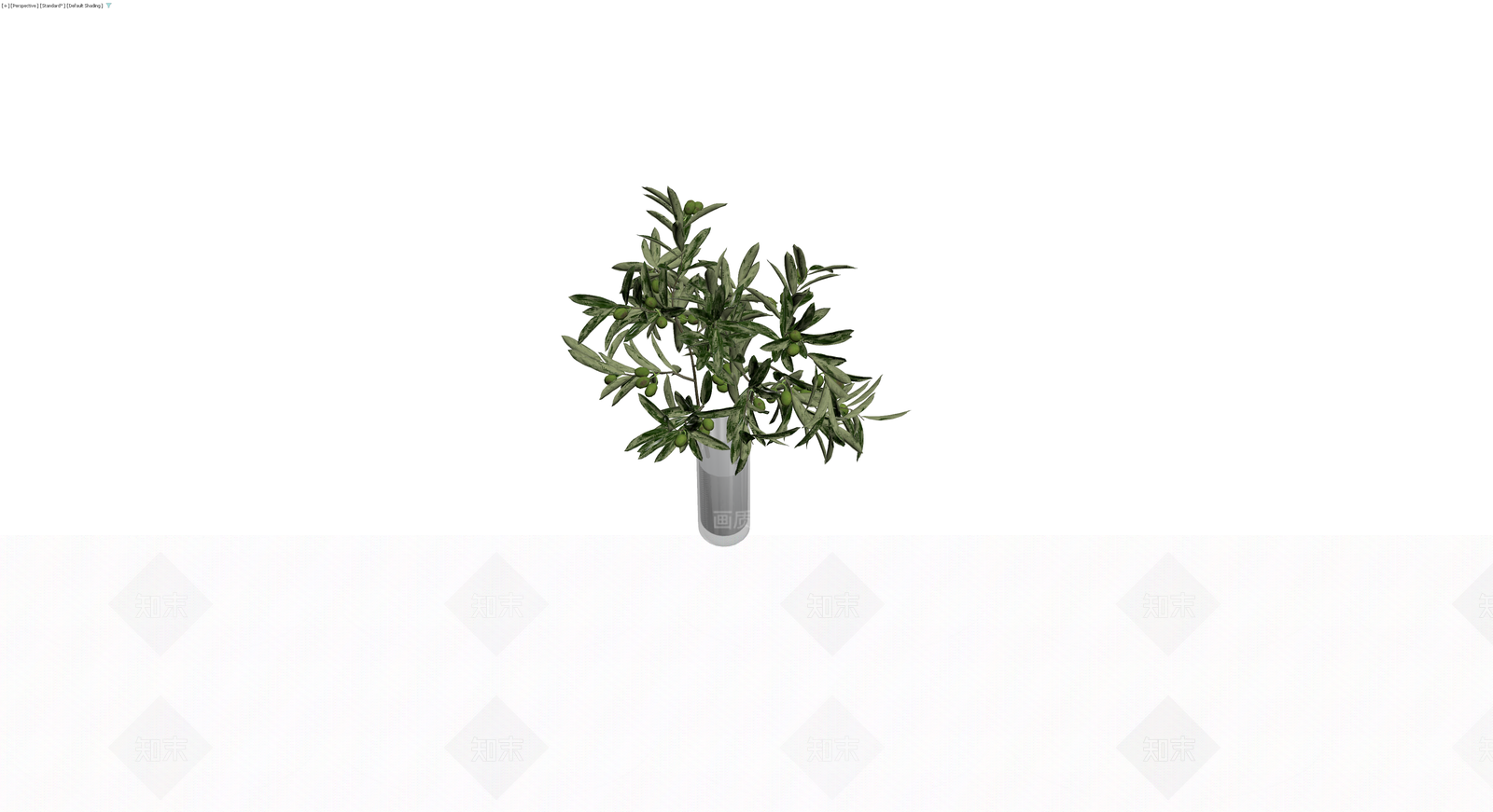 带盆橄榄植物盆栽3D模型下载【ID:1229927028】