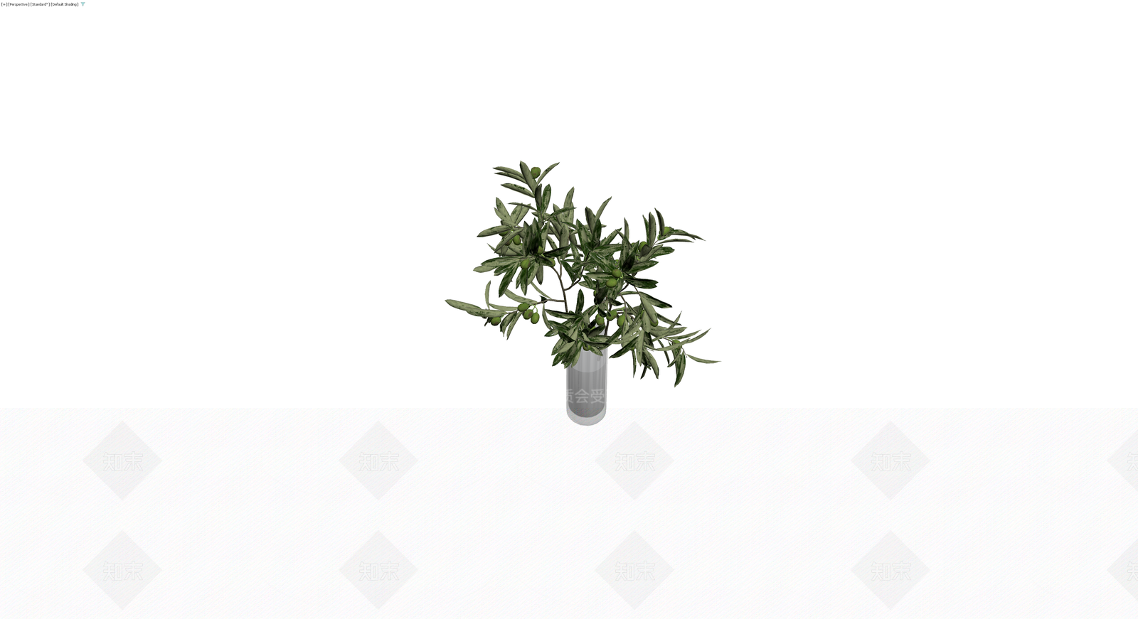带盆橄榄植物盆栽3D模型下载【ID:1229927028】
