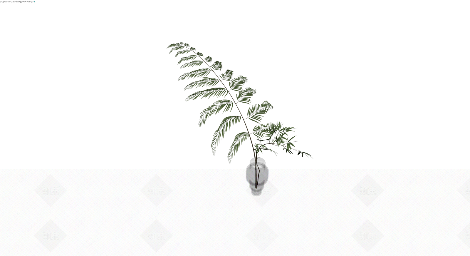 盆栽植物带盆3D模型下载【ID:1230134534】