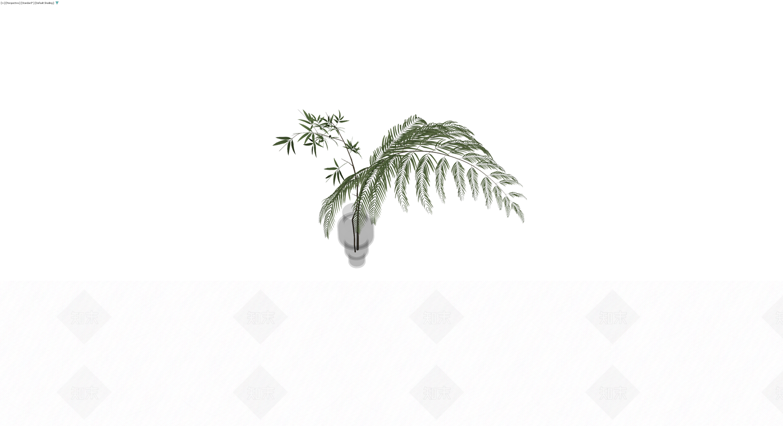 盆栽植物带盆3D模型下载【ID:1230134534】