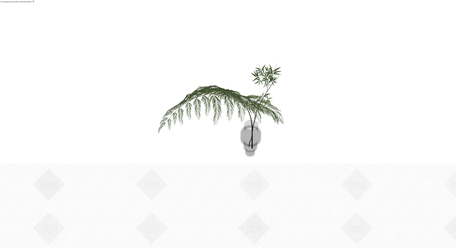 盆栽植物带盆3D模型下载【ID:1230134534】
