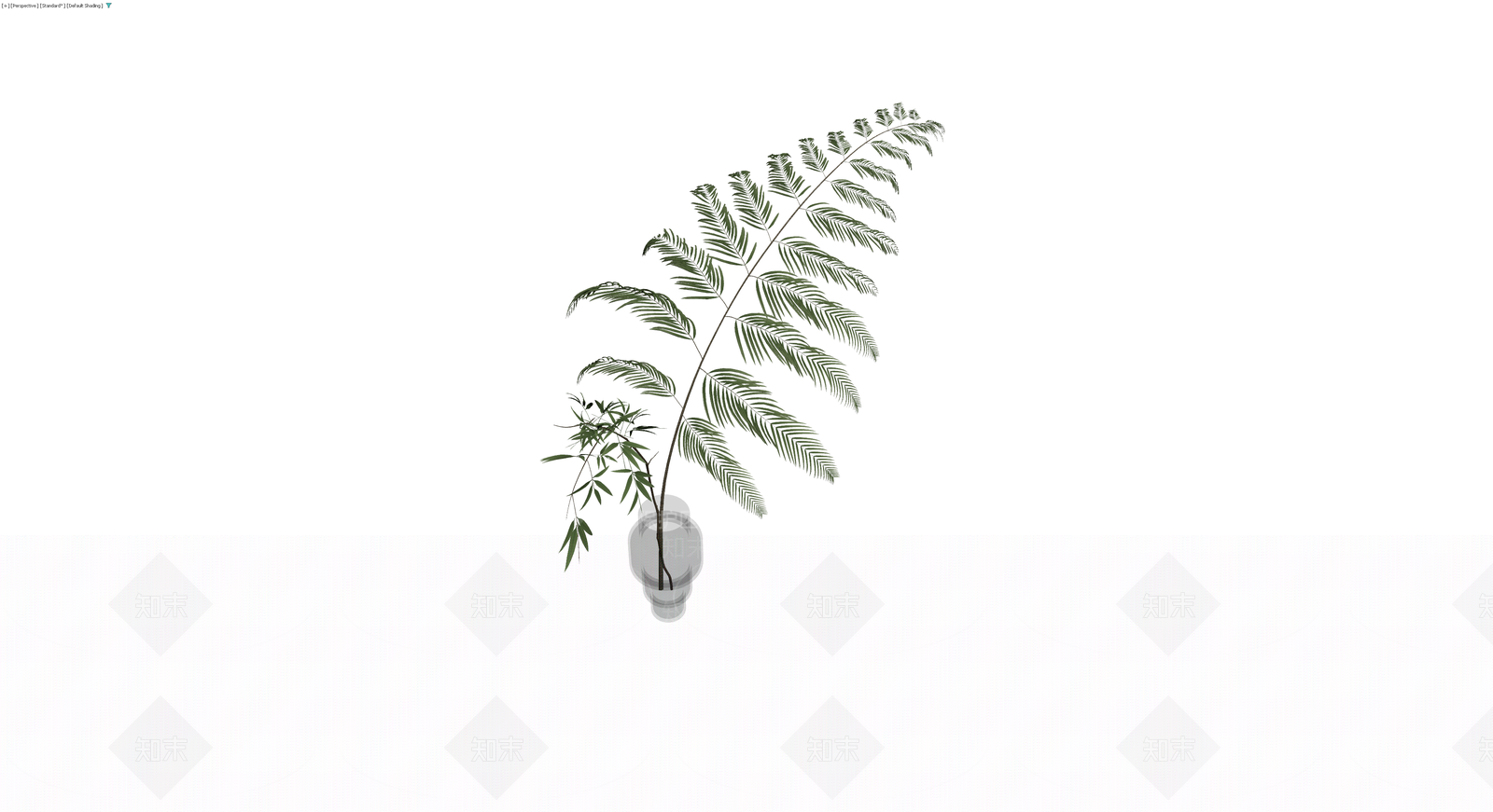 盆栽植物带盆3D模型下载【ID:1230134534】