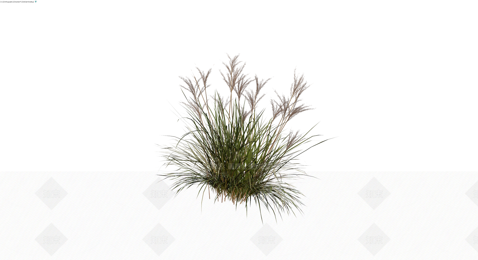 丛生观赏草植物模型3D模型下载【ID:1230424901】
