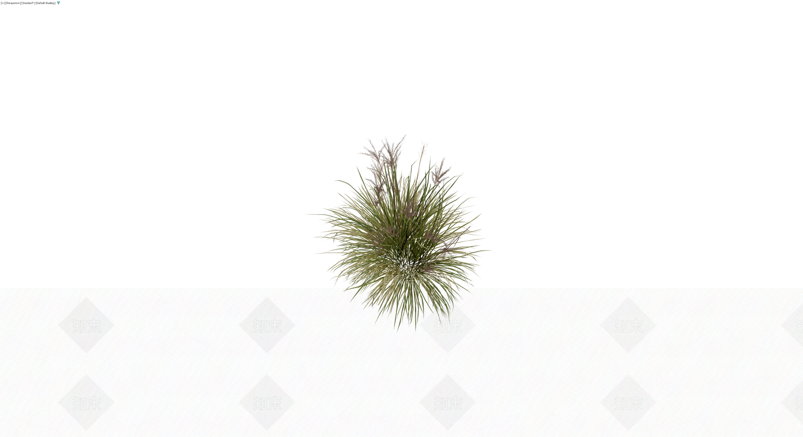 丛生观赏草植物模型3D模型下载【ID:1230424901】