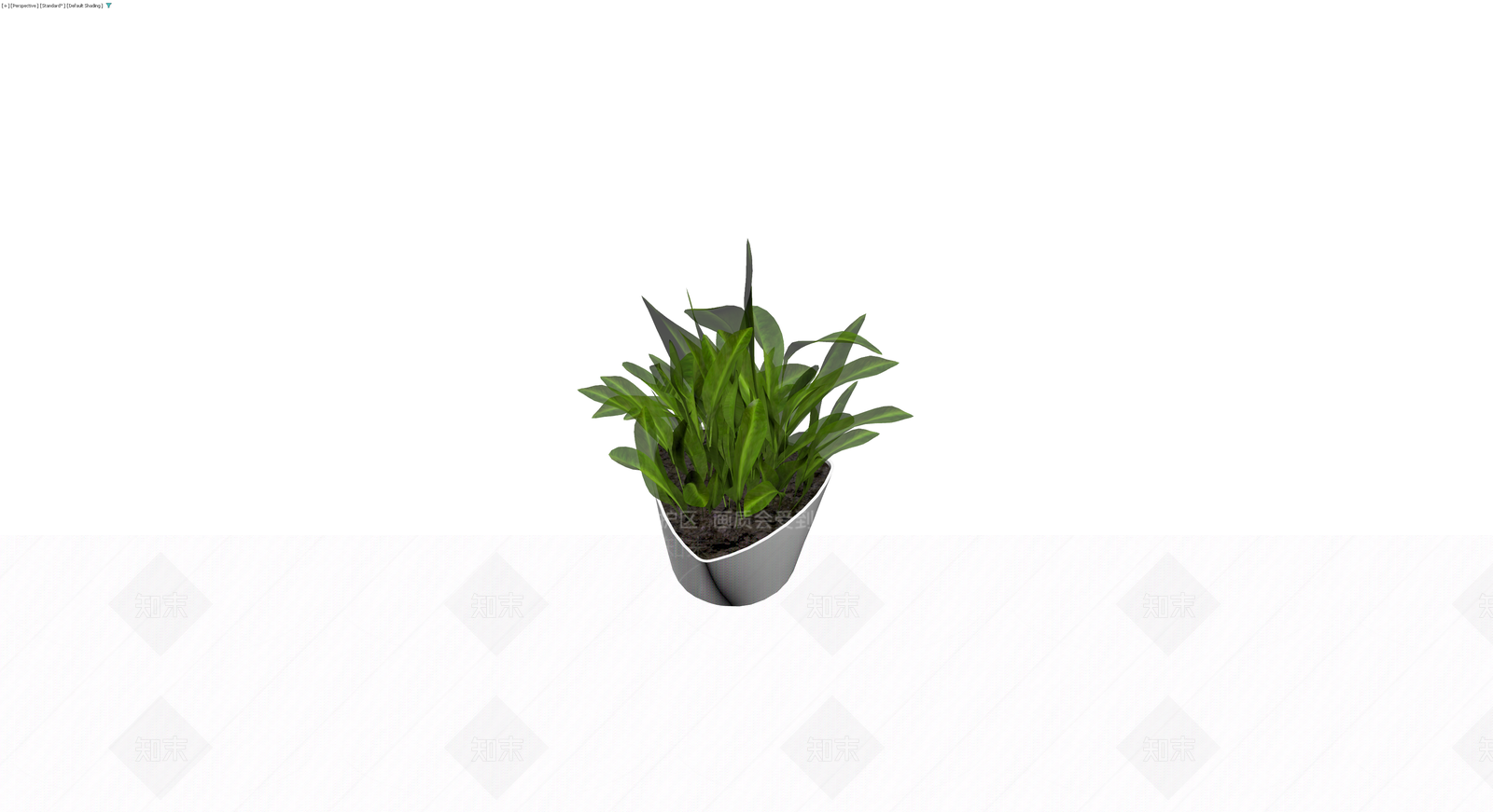 灰模盆栽植物3D模型下载【ID:1230646758】