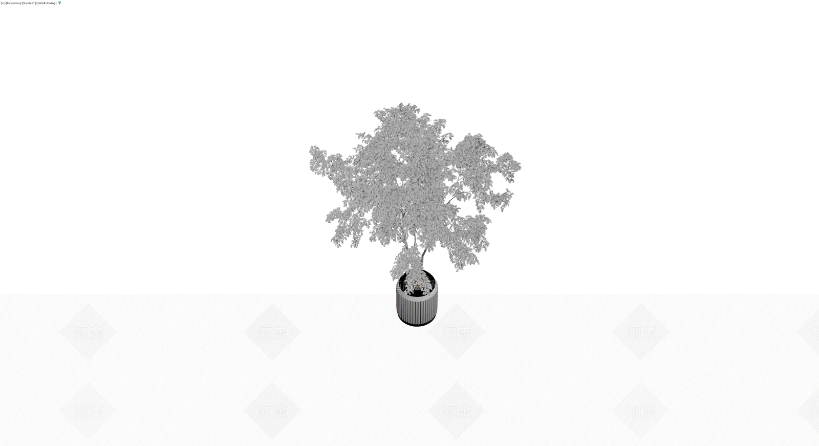 带盆景观树3D模型下载【ID:1230175107】