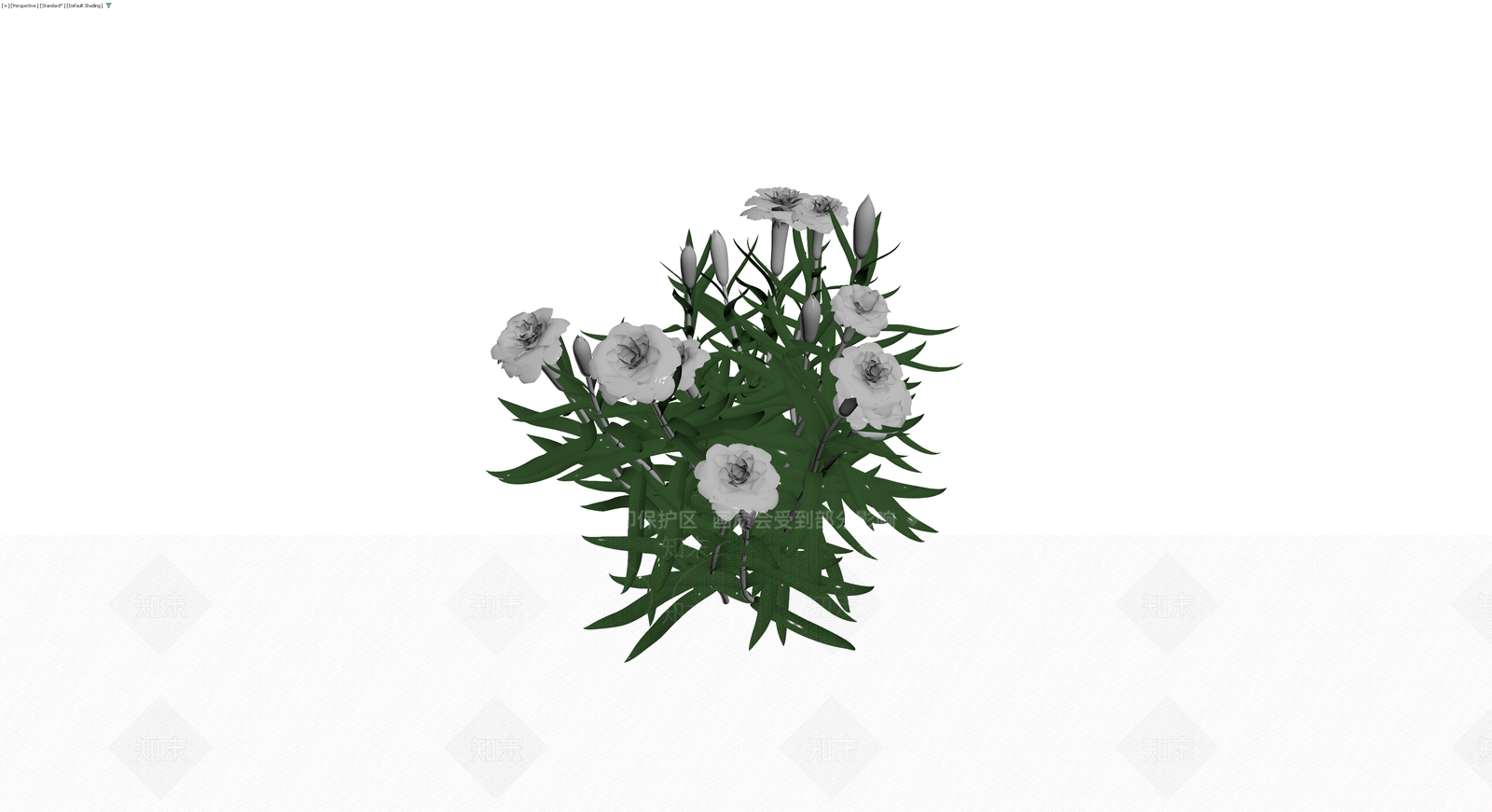 康乃馨花丛模型3D模型下载【ID:1230137847】