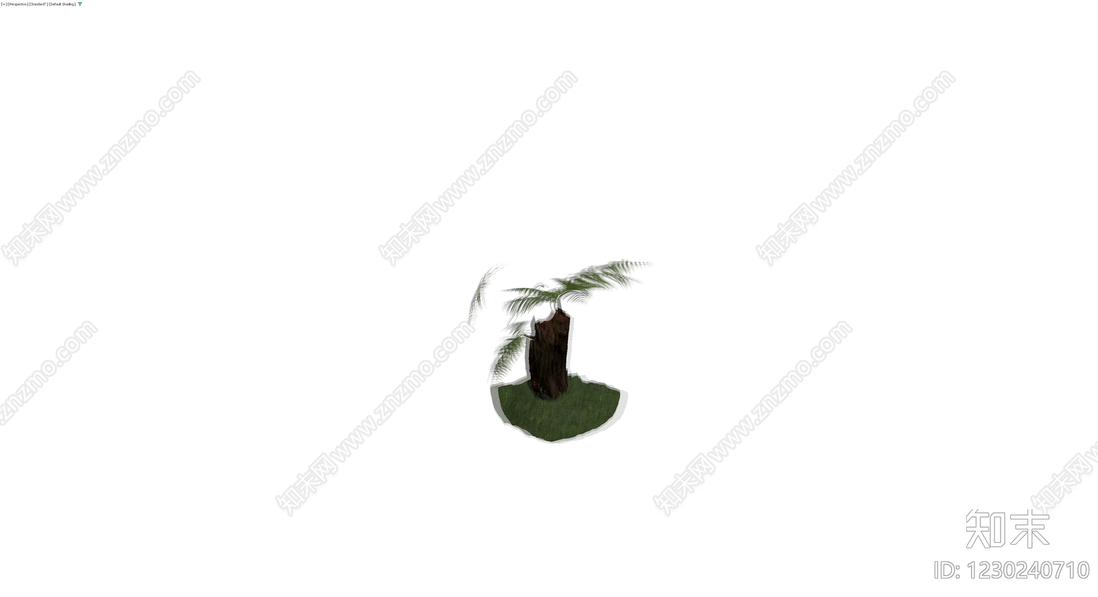 带盆蕨类盆栽模型3D模型下载【ID:1230240710】