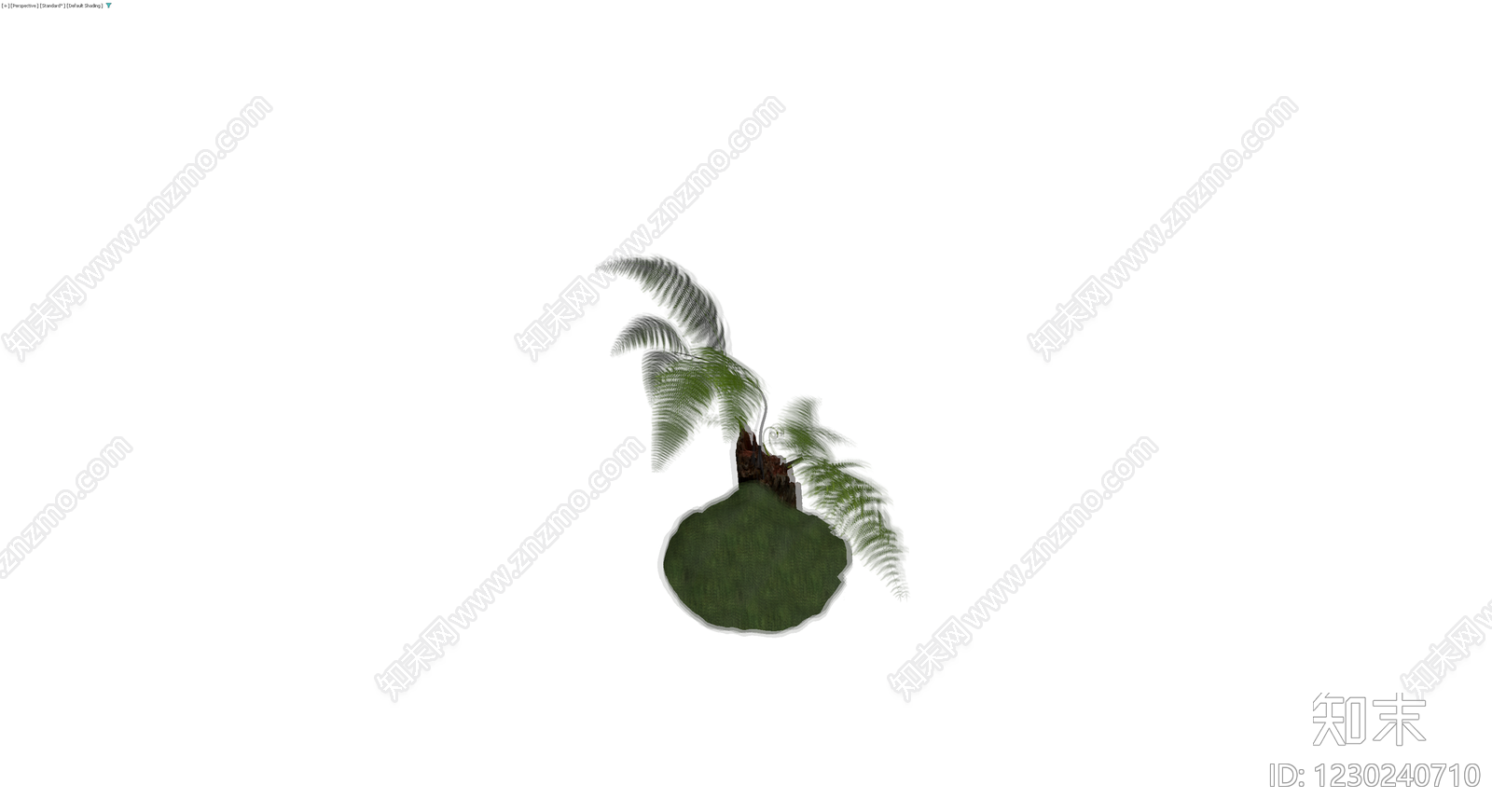 带盆蕨类盆栽模型3D模型下载【ID:1230240710】