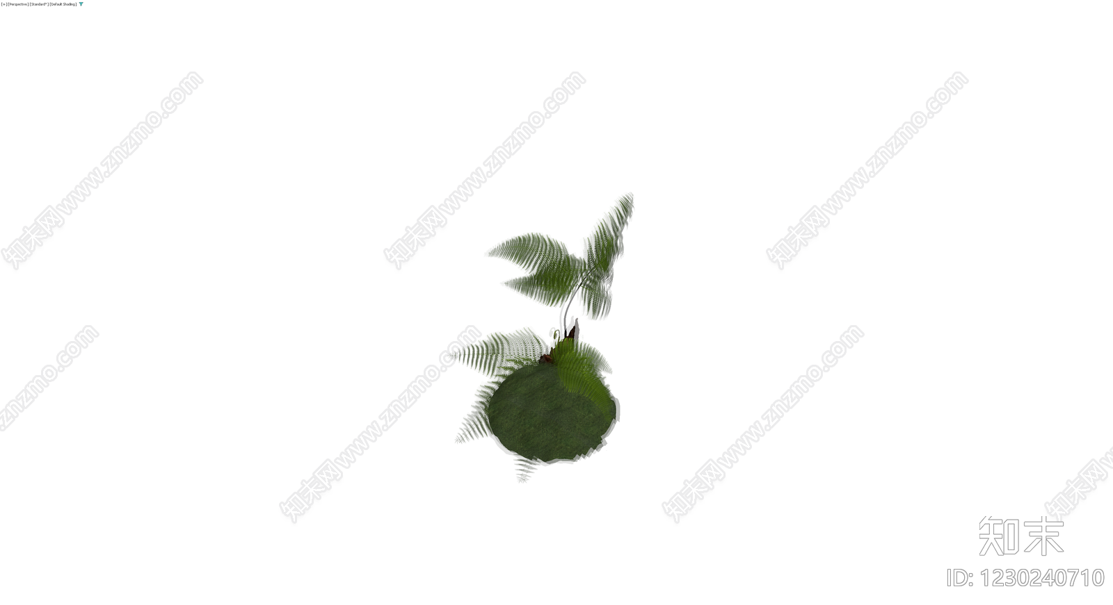 带盆蕨类盆栽模型3D模型下载【ID:1230240710】