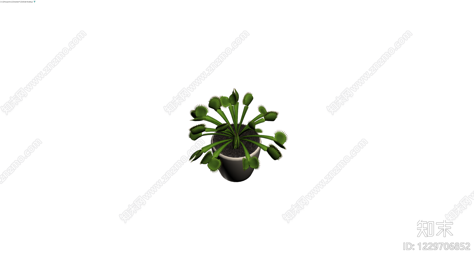 盆栽捕蝇草3D模型下载【ID:1229706852】