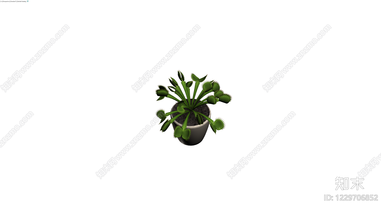 盆栽捕蝇草3D模型下载【ID:1229706852】