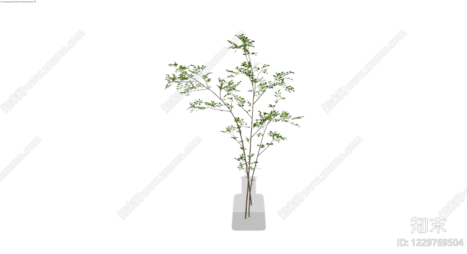 带玻璃花瓶的植物枝条3D模型下载【ID:1229769504】
