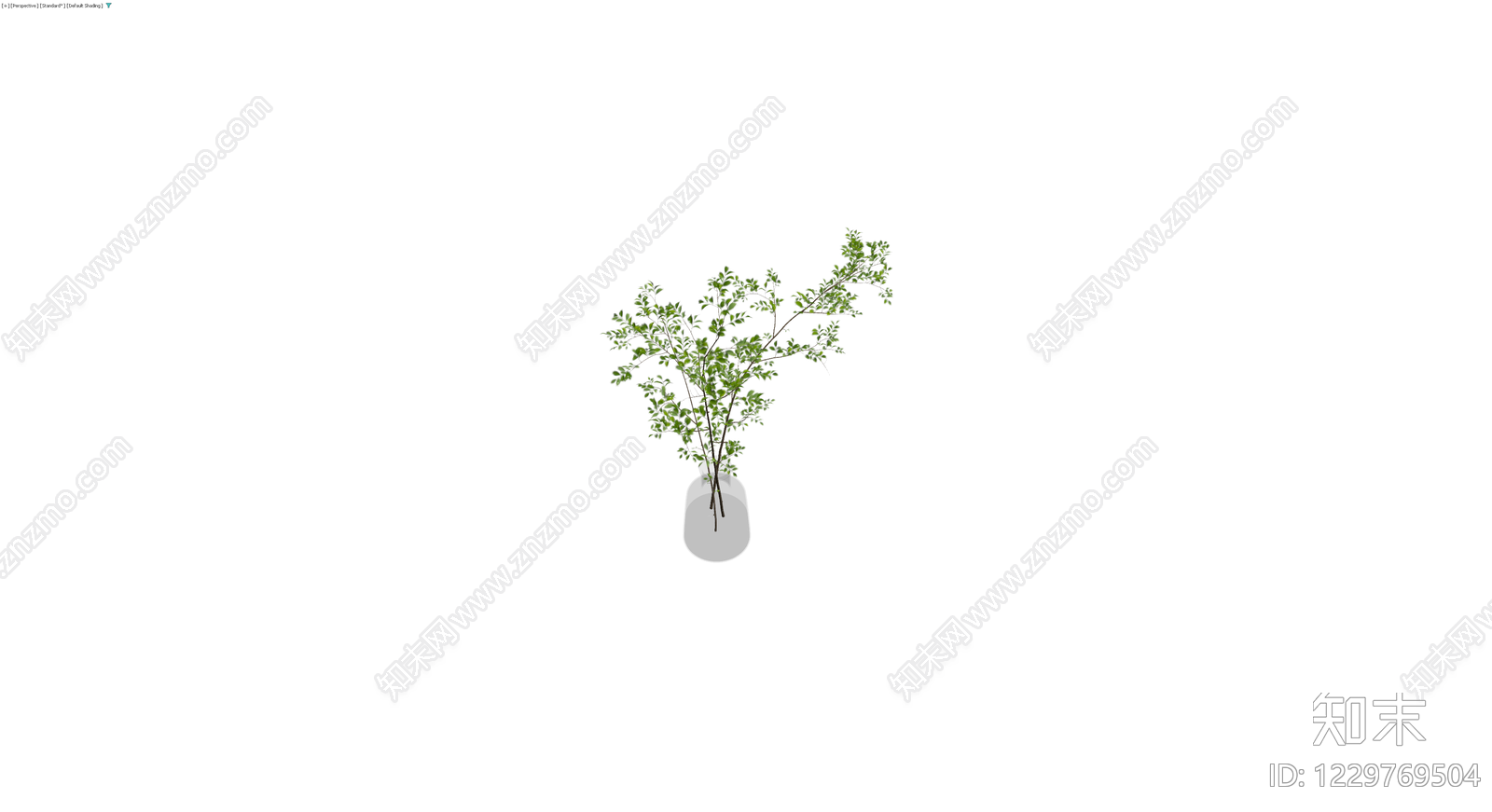 带玻璃花瓶的植物枝条3D模型下载【ID:1229769504】