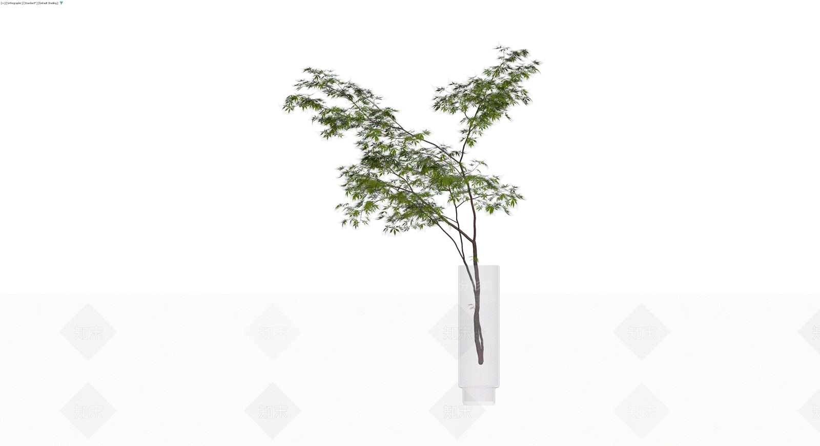 透明花瓶插枝植物3D模型下载【ID:1229961062】