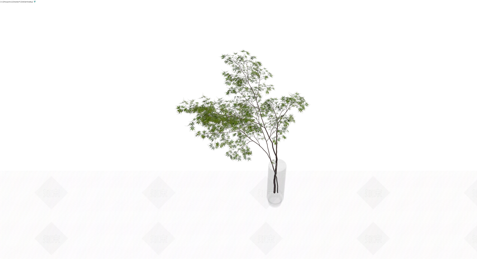 透明花瓶插枝植物3D模型下载【ID:1229961062】