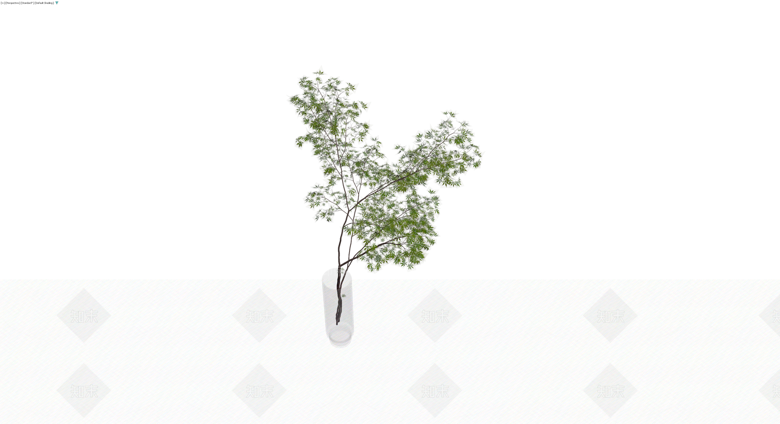 透明花瓶插枝植物3D模型下载【ID:1229961062】