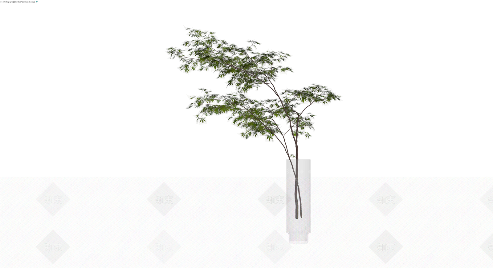 透明花瓶插枝植物3D模型下载【ID:1229961062】