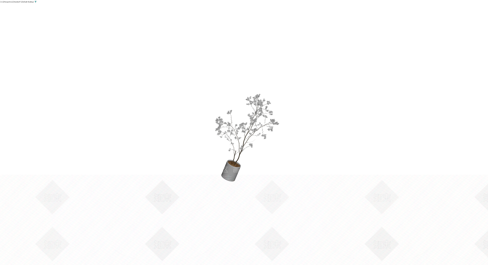 盆栽植物带盆3D模型下载【ID:1229933144】