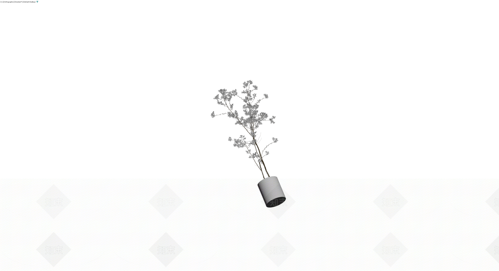 盆栽植物带盆3D模型下载【ID:1229933144】