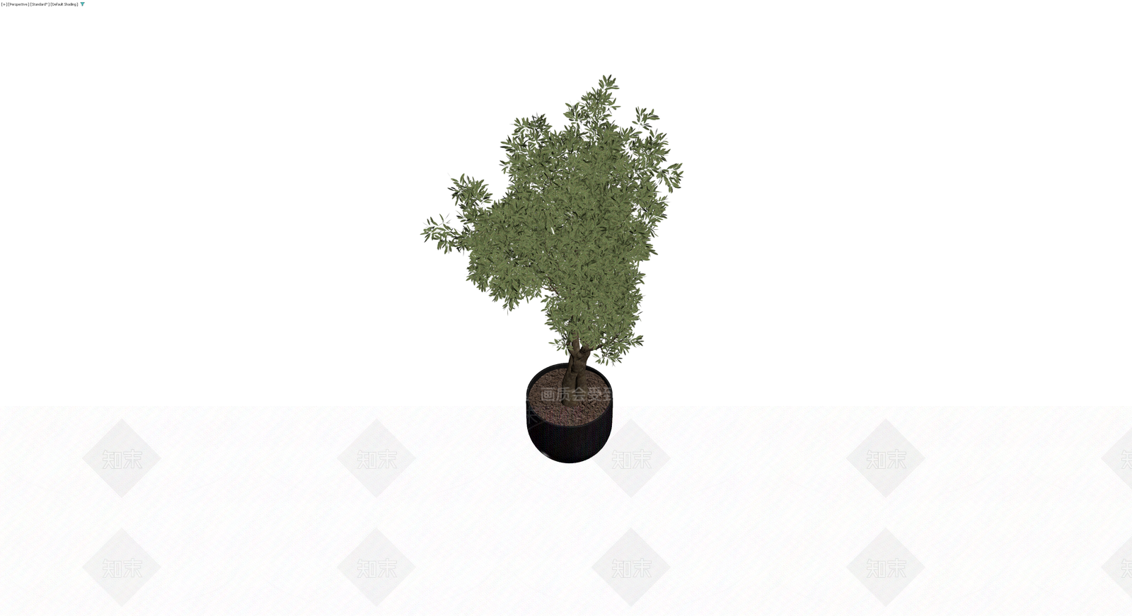 黑色圆盆橄榄树3D模型下载【ID:1230586170】