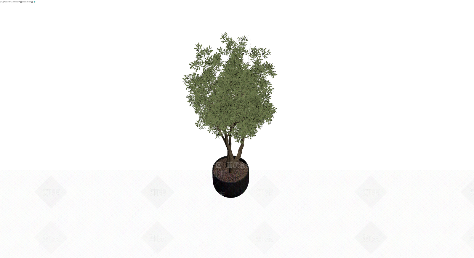 黑色圆盆橄榄树3D模型下载【ID:1230586170】