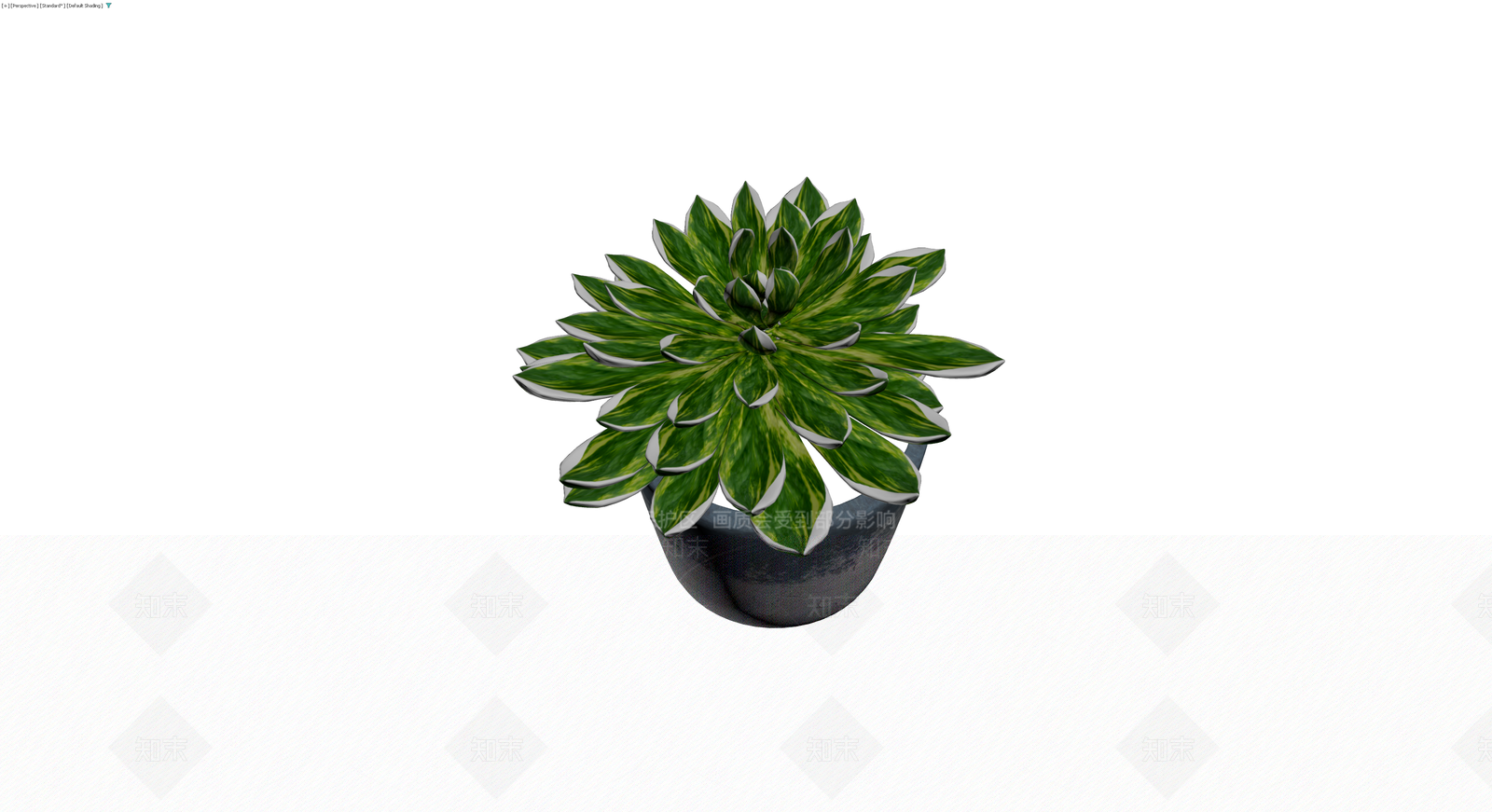 带盆多肉植物盆栽3D模型下载【ID:1230702696】