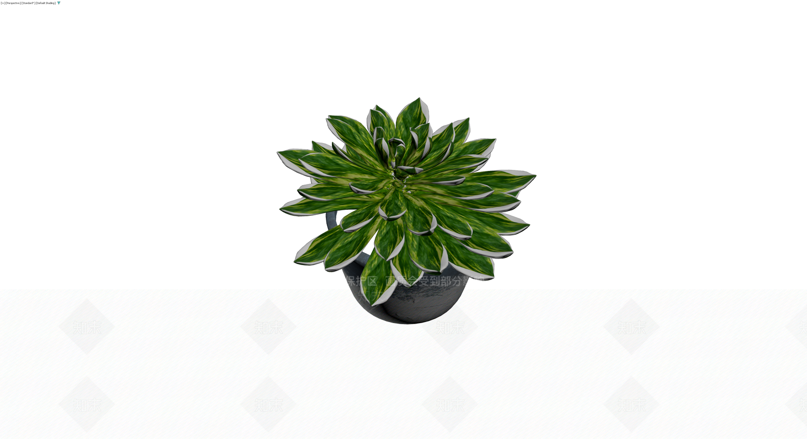 带盆多肉植物盆栽3D模型下载【ID:1230702696】