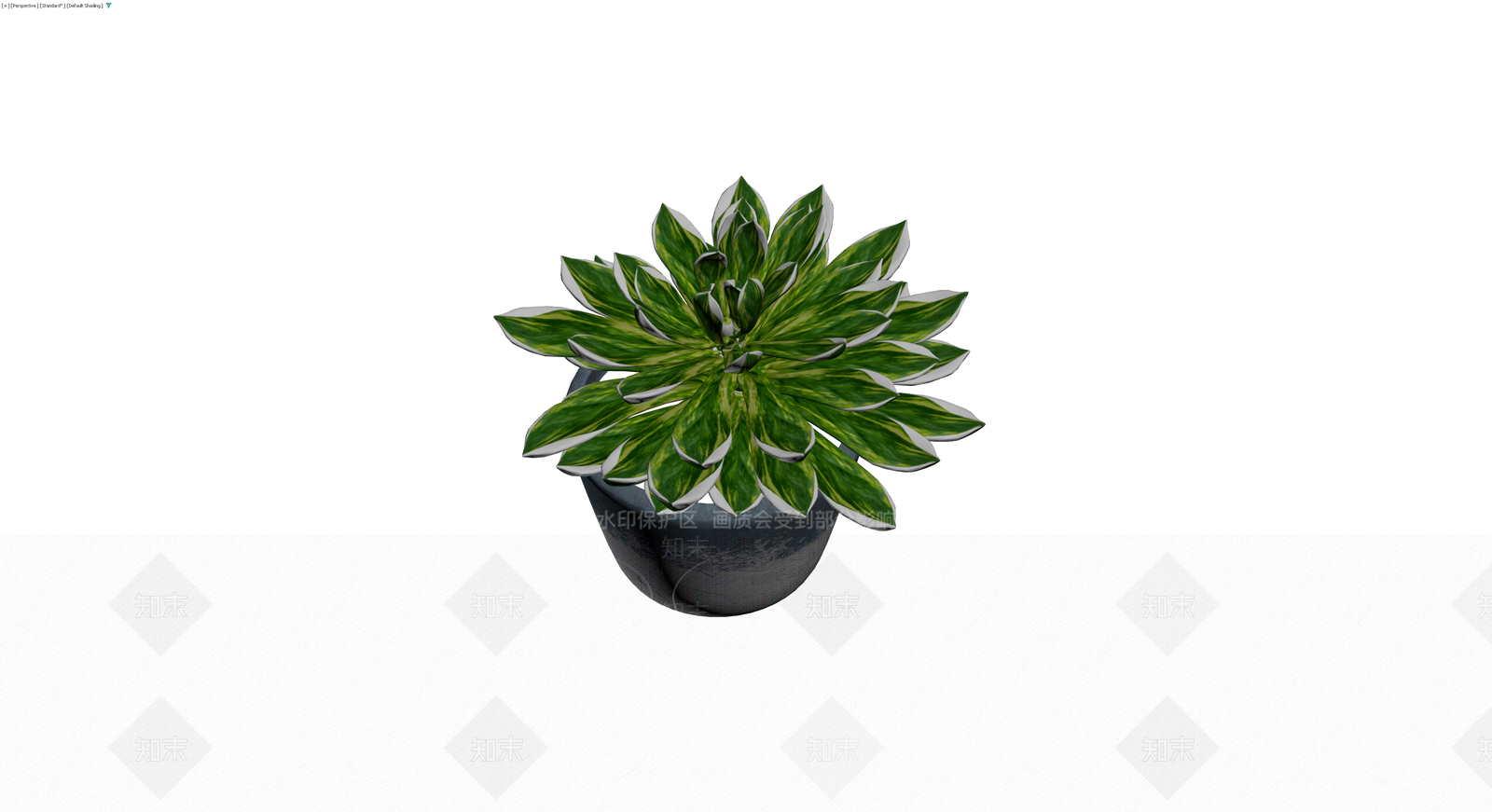 带盆多肉植物盆栽3D模型下载【ID:1230702696】