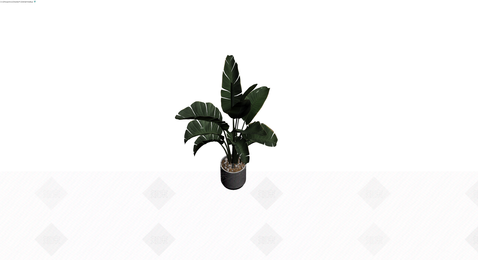 盆栽天堂鸟植物3D模型下载【ID:1230645832】