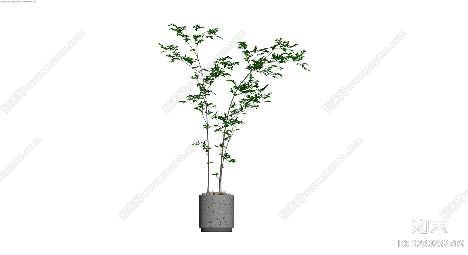 盆栽绿植组合模型3D模型下载【ID:1230232709】