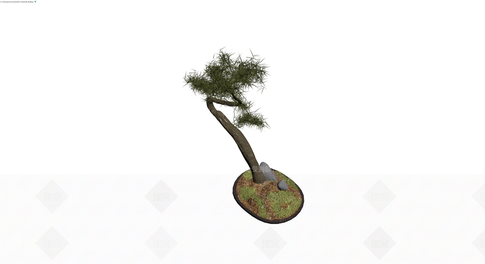 带盆景观松树盆栽3D模型下载【ID:1230098497】