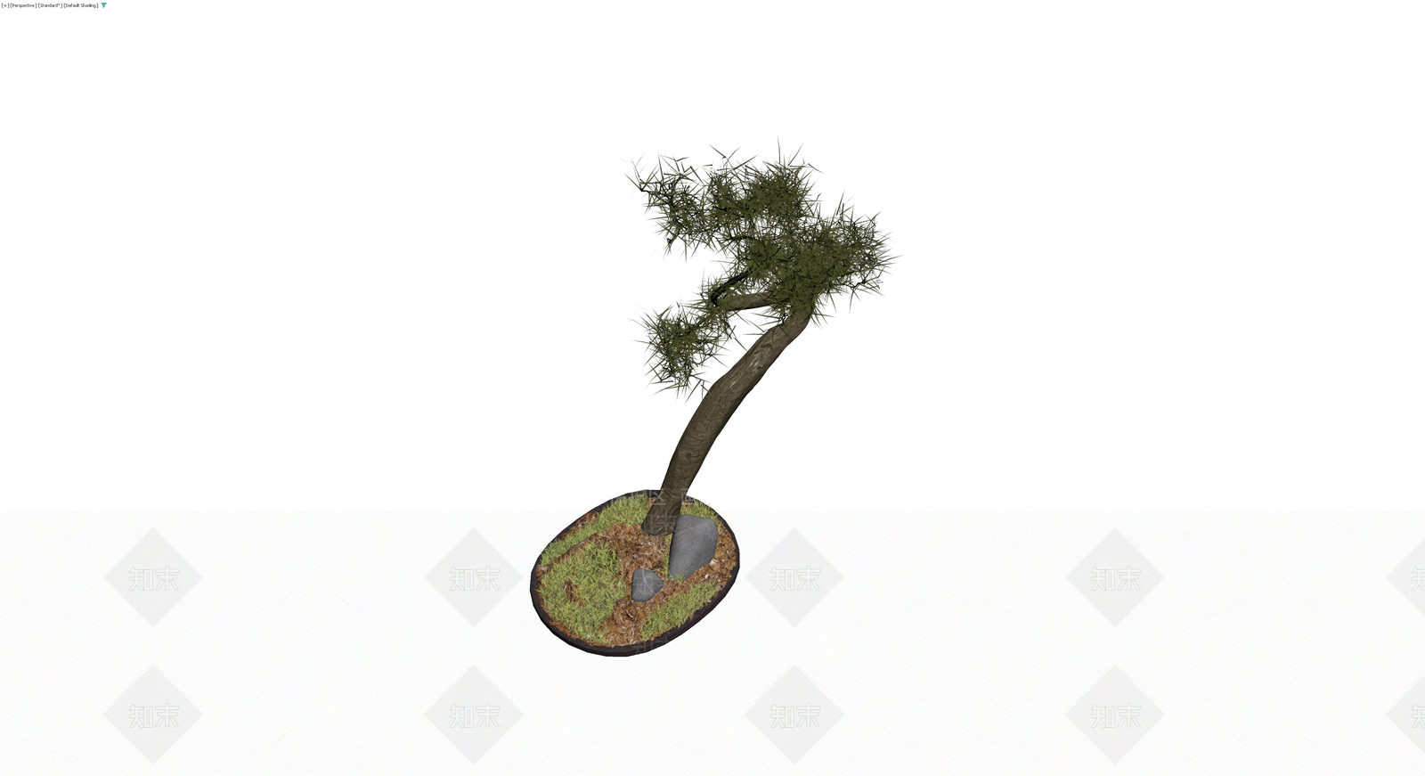 带盆景观松树盆栽3D模型下载【ID:1230098497】