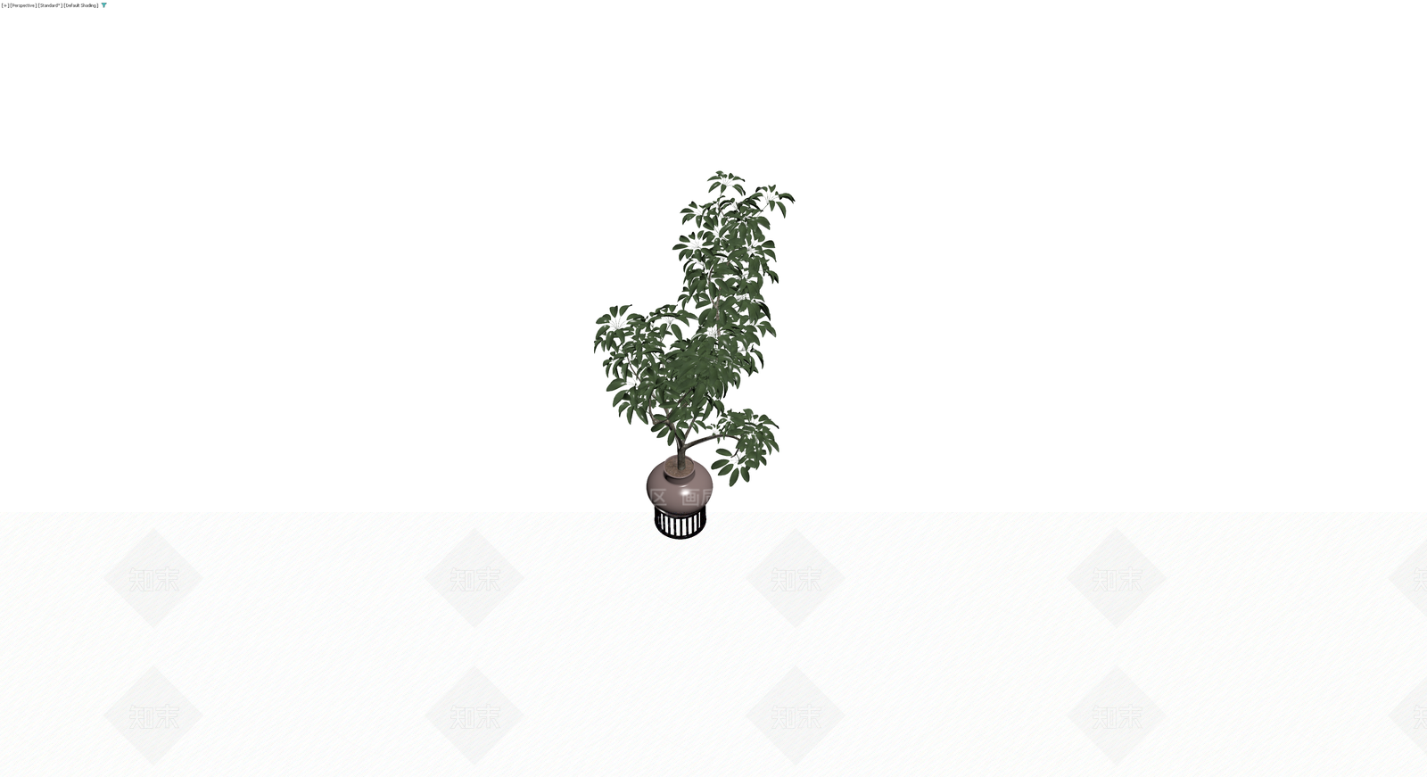 盆栽绿植带盆3D模型下载【ID:1229659607】